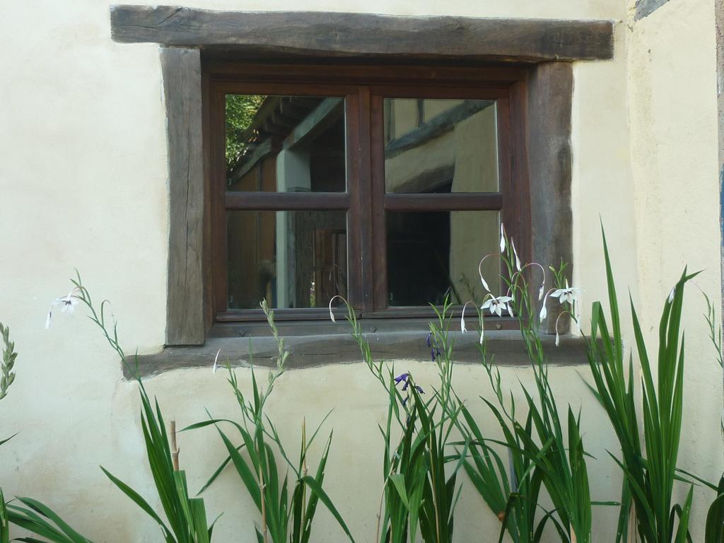 Apikale Casa de hóspedes Ea Exterior foto